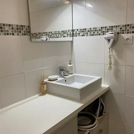 Le Spacieux - T1 Moderne Et Cosy سانت سافين