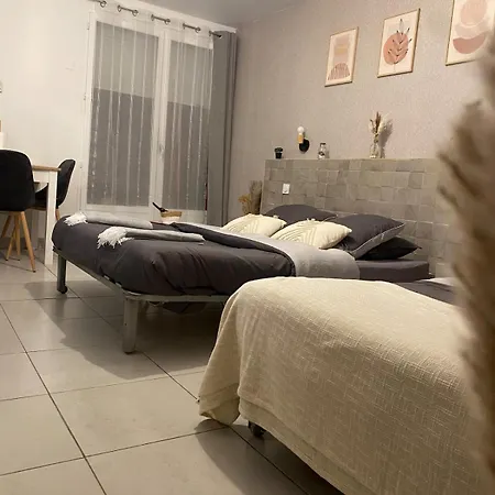 Le Spacieux - T1 Moderne Et Cosy * سانت سافين