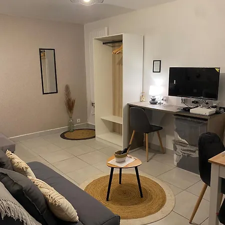 Le Spacieux - T1 Moderne Et Cosy * سانت سافين