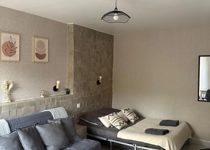 Apartamento Le Spacieux - T1 Moderne Et Cosy *