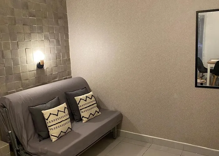 Le Spacieux - T1 Moderne Et Cosy *