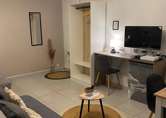 Le Spacieux - T1 Moderne Et Cosy * Sainte-Savine